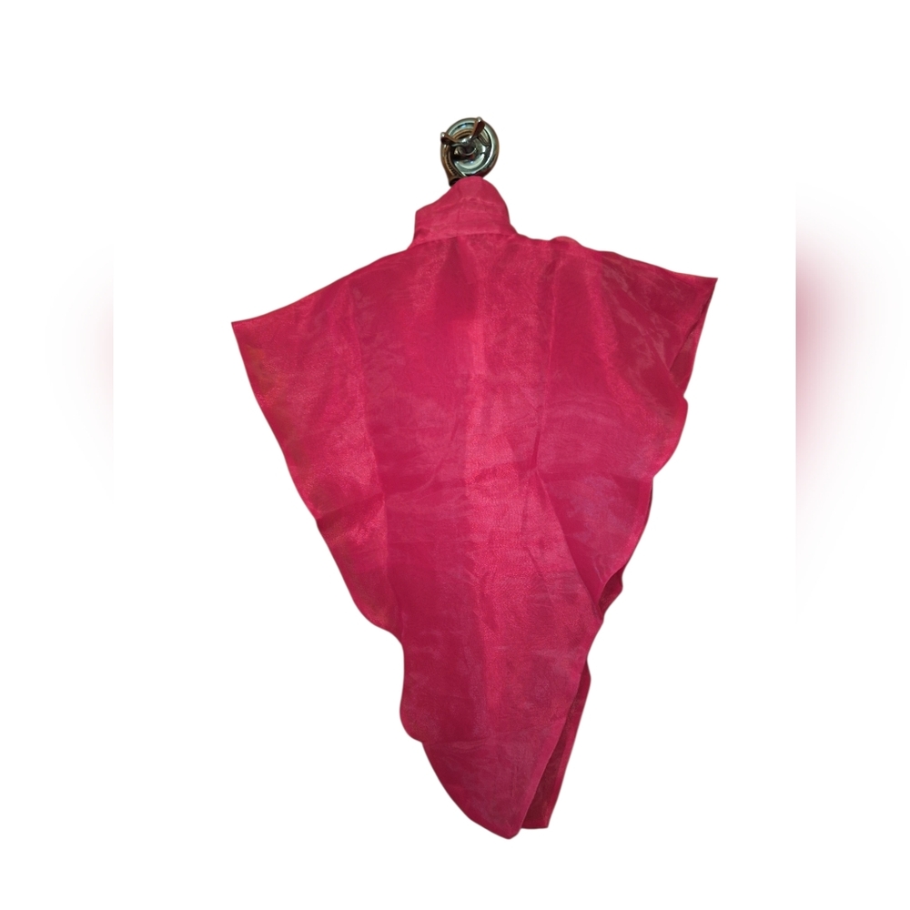 Sheer Hot Pink Pointed Hem Cropped Blouse Edgy Bougie ARTSY Ladies MED NWT - Picture 5 of 5